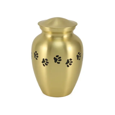 Classic Paw Brass, Small