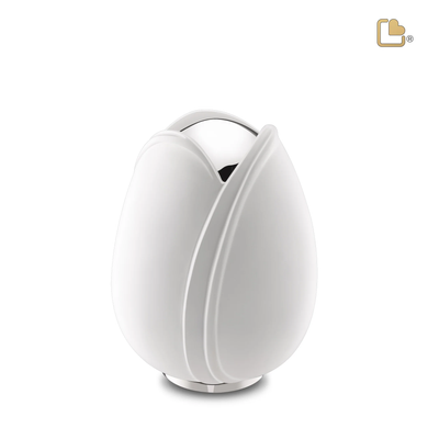 White Tulip, Medium