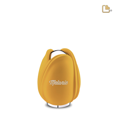 Yellow Tulip, Keepsake