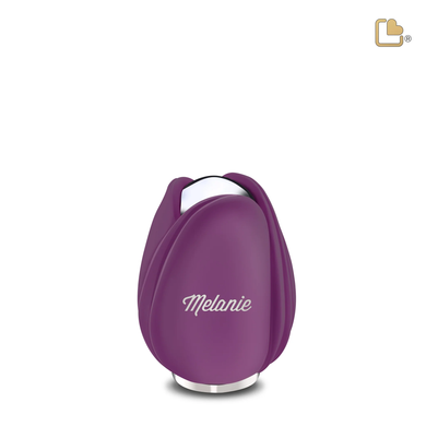 Purple Tulip, Keepsake