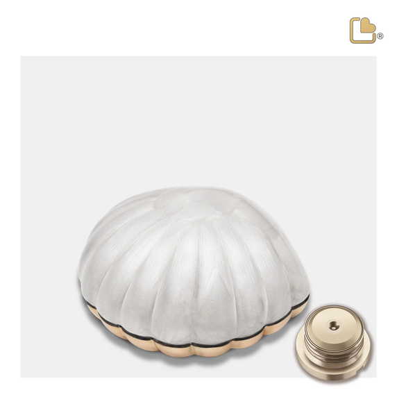 Shell Pearl White & Bru Gold, Keepsake