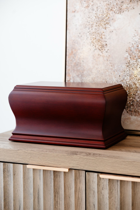 Curved Mahogany, Large/Adult