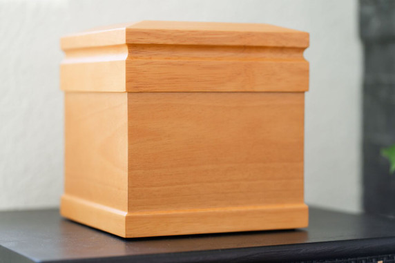 Acorn Cube, Large/Adult