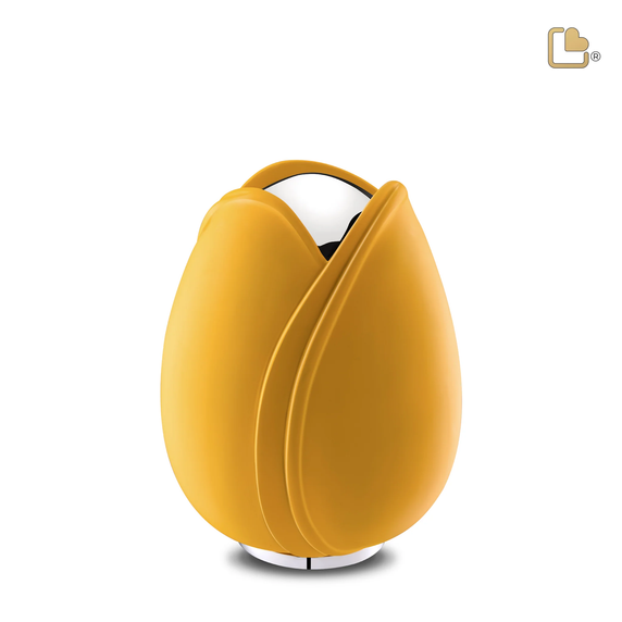 Yellow Tulip, Medium
