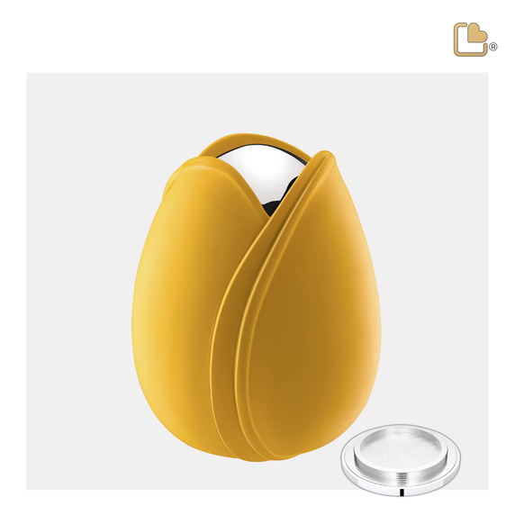 Yellow Tulip, Medium