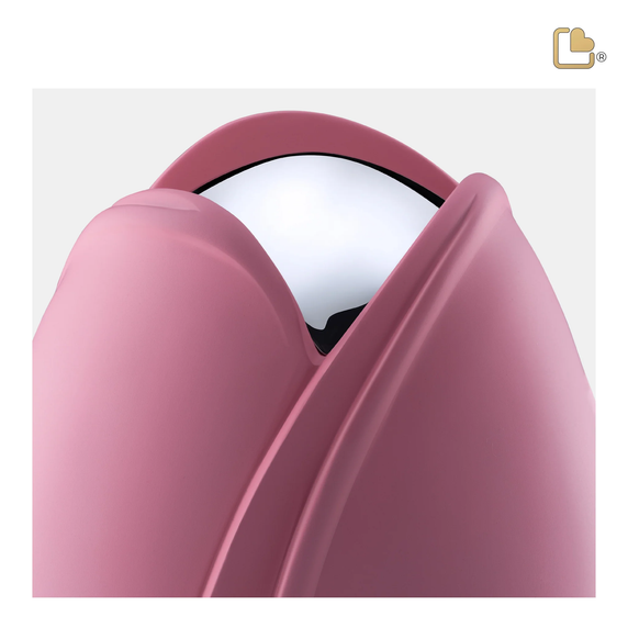 Pink Tulip, Medium