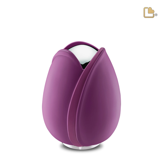 Purple Tulip, Medium