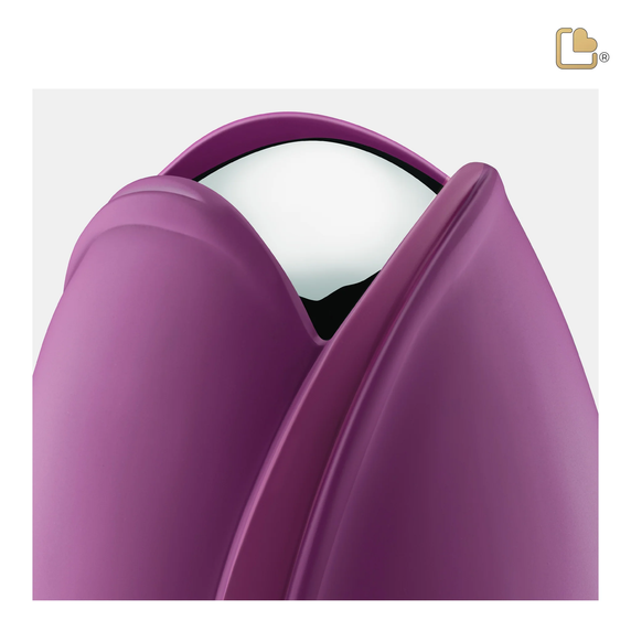 Purple Tulip, Medium