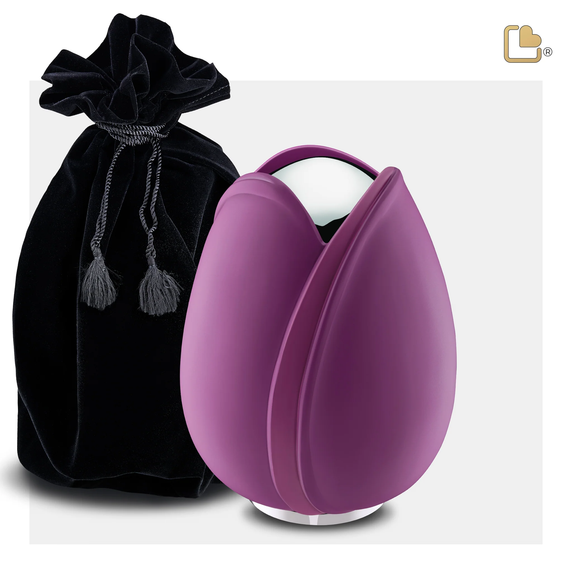 Purple Tulip, Medium