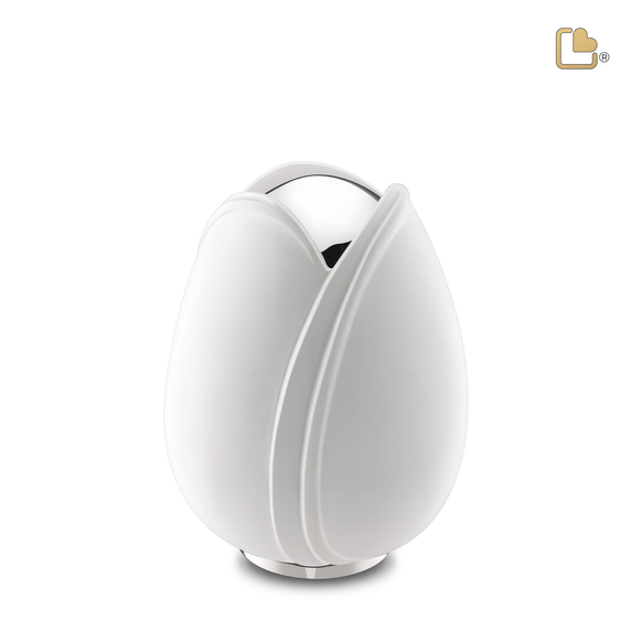 White Tulip, Medium