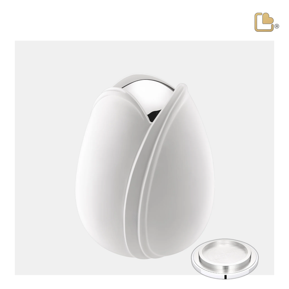 White Tulip, Medium