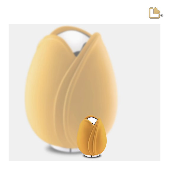 Yellow Tulip, Keepsake