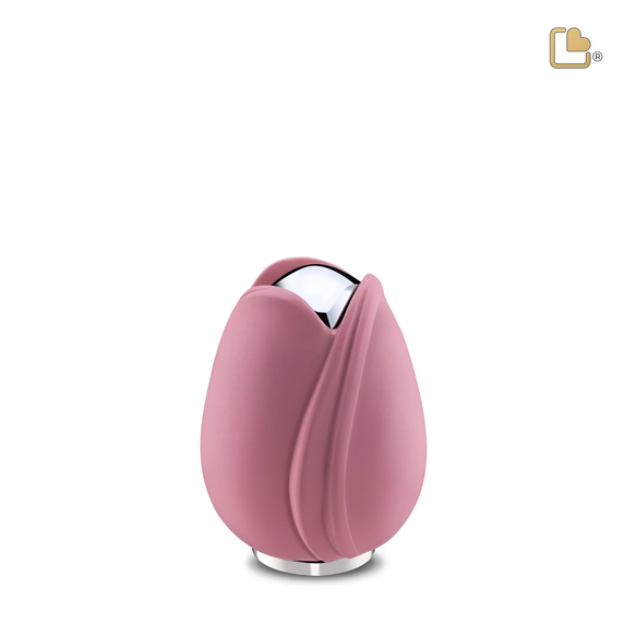 Pink Tulip, Keepsake