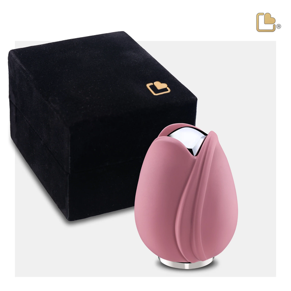 Pink Tulip, Keepsake