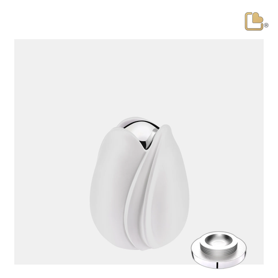 White Tulip, Keepsake