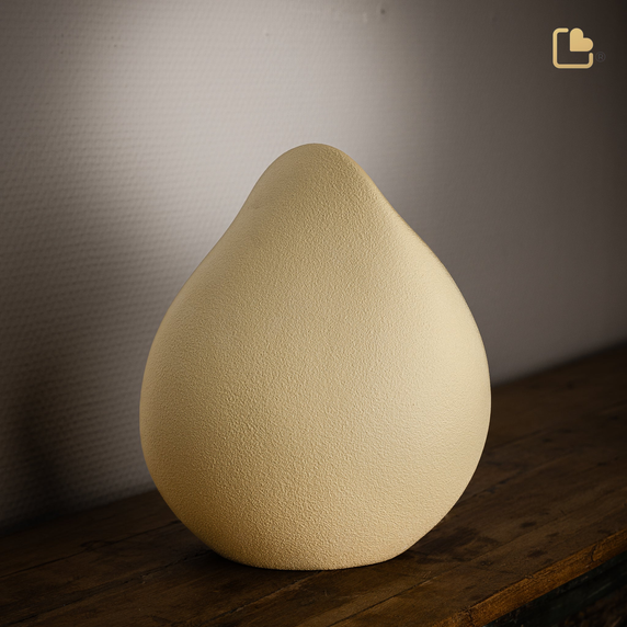 Soulful Shell Yellow, Large/Adult