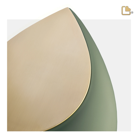 Drop Sage Green & Bru Gold, Large/Adult