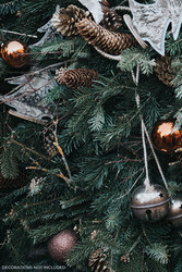 Christmas Tree Nordmann Fir 150/175cm (approx 5ft - 6ft)