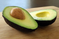 4 Everyday Foods Your Dog Should Never Eat