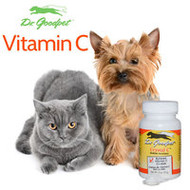 Top 4 Supplements That Will Dramatically Improve Your Dog's Health