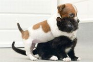 Brother and Sister - Way too cute!