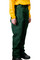 Women's Wildland Pant, Front Angle, Modeled, Green