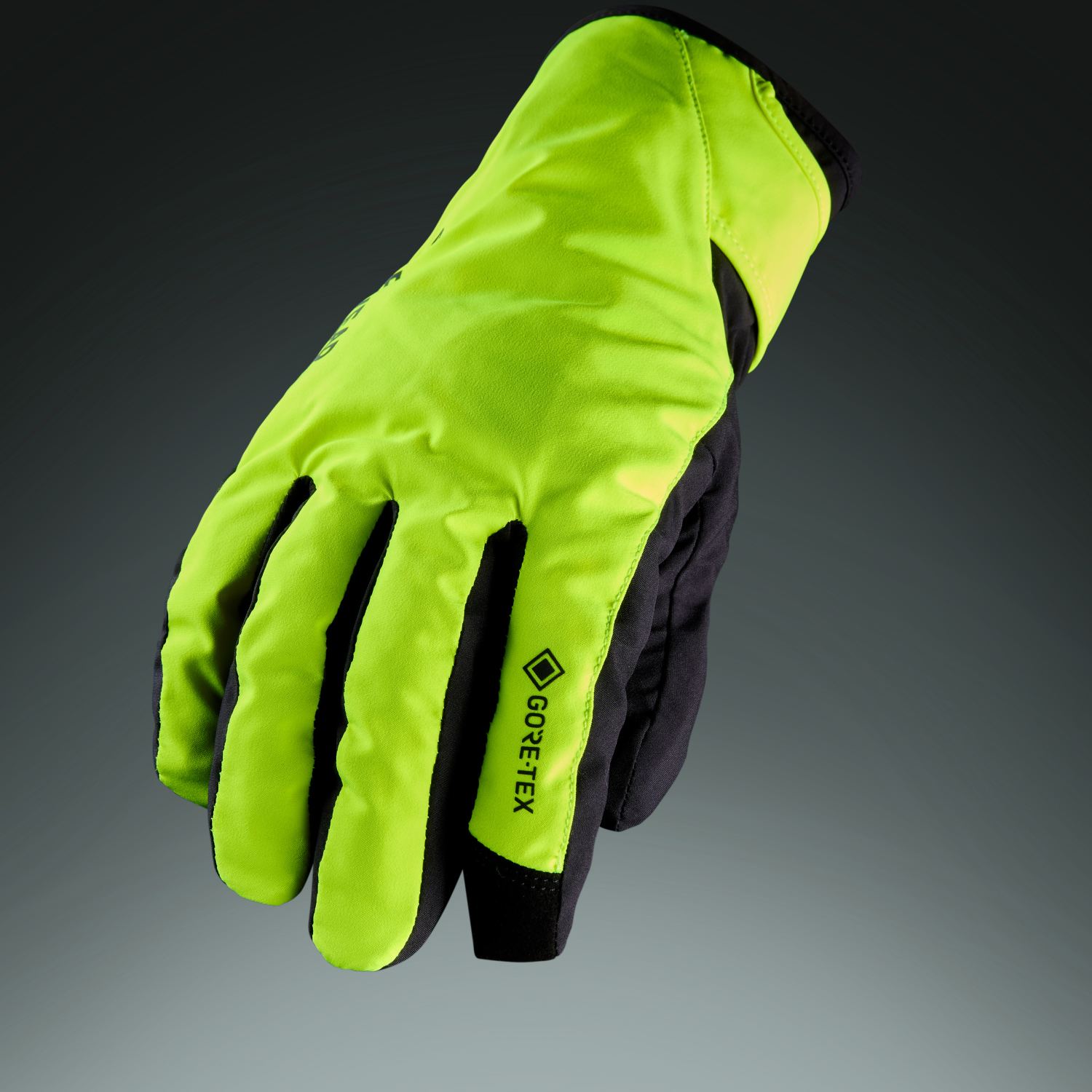 GORE-TEX Insulated Gloves