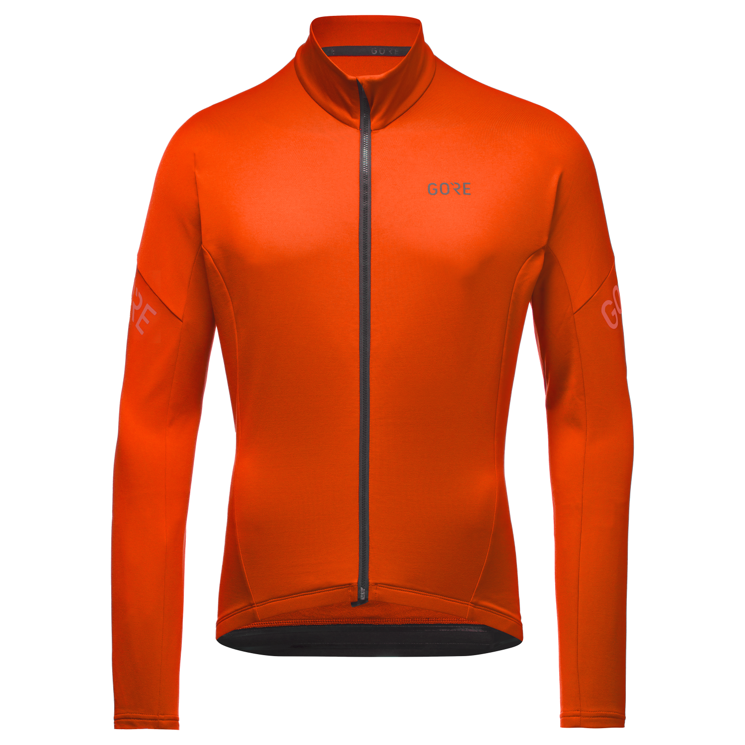 Torrent Jacket Mens | GOREWEAR US