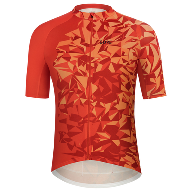 GOREWEAR Polix Cycling Jersey Men's in Terra Grey | XS | Form fit