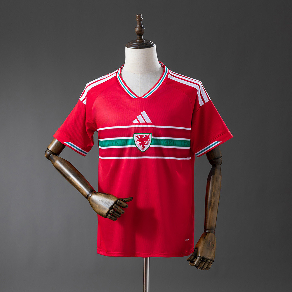 Wales Home World Cup 2026