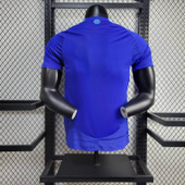 Argentina 2024 Away Player  Version Jersey