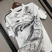 America 2025/26 Speical Edition II Jersey