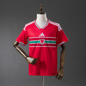 Wales Home World Cup 2026