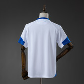 Bosnia and Herzegovina 2026 Away World Cup