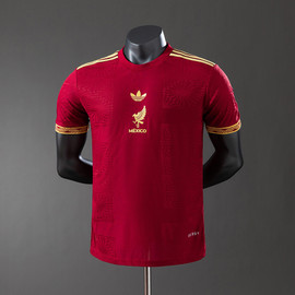 Mexico 2025/26 Away Player Version