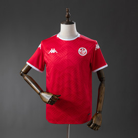 Tunisia World Cup Home 2026