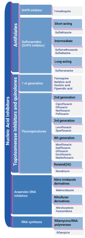 Nucleic Acid synthesis