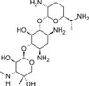 Gentamicin C2 Sulfate, EvoPure®