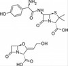 Amoxicillin : Potassium Clavulanate (2:1)