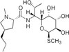 Lincomycin Hydrochloride, EP