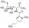 Clindamycin Phosphate
