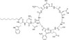 Daptomycin