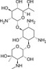 G418 Disulfate, EvoPure®