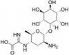 Kasugamycin Hydrochloride