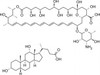 Amphotericin B, Solubilized