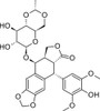 Etoposide