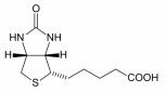 D-Biotin, USP