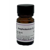 Amphotericin B, USP