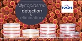 Detection and elimination of Mycoplasmas