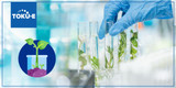 Sowing seeds of innovation in plant research